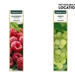Gardenline Berry Bush Fruit Plants