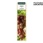 Gardenline Grape Plant Aldi