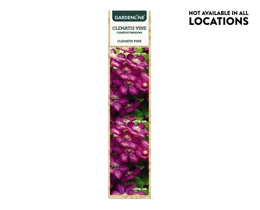 Gardenline Clematis Vine From Aldi