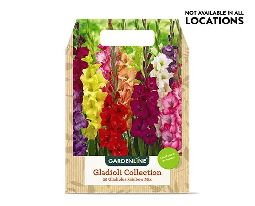 Gardenline Spring Bulbs at Aldi