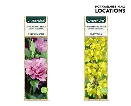 Gardenline Ornamental Shrubs at Aldi