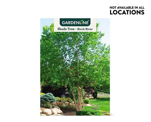 Aldi Shade Tree